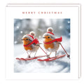 Robins skiing - pack 5 Christmas charity cards