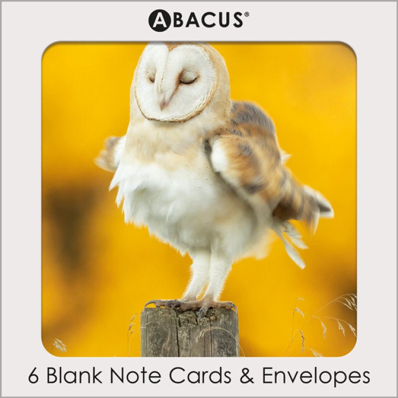 The Barn Owl - Pack 6 Blank Notelets