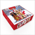 Festive Dogs - Pack of 24 - Christmas Cards