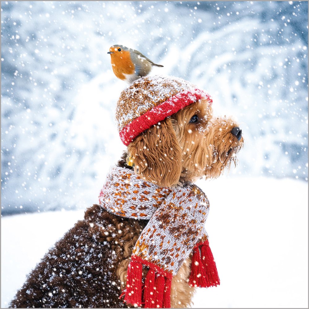 Festive Dogs - Pack of 24 - Christmas Cards