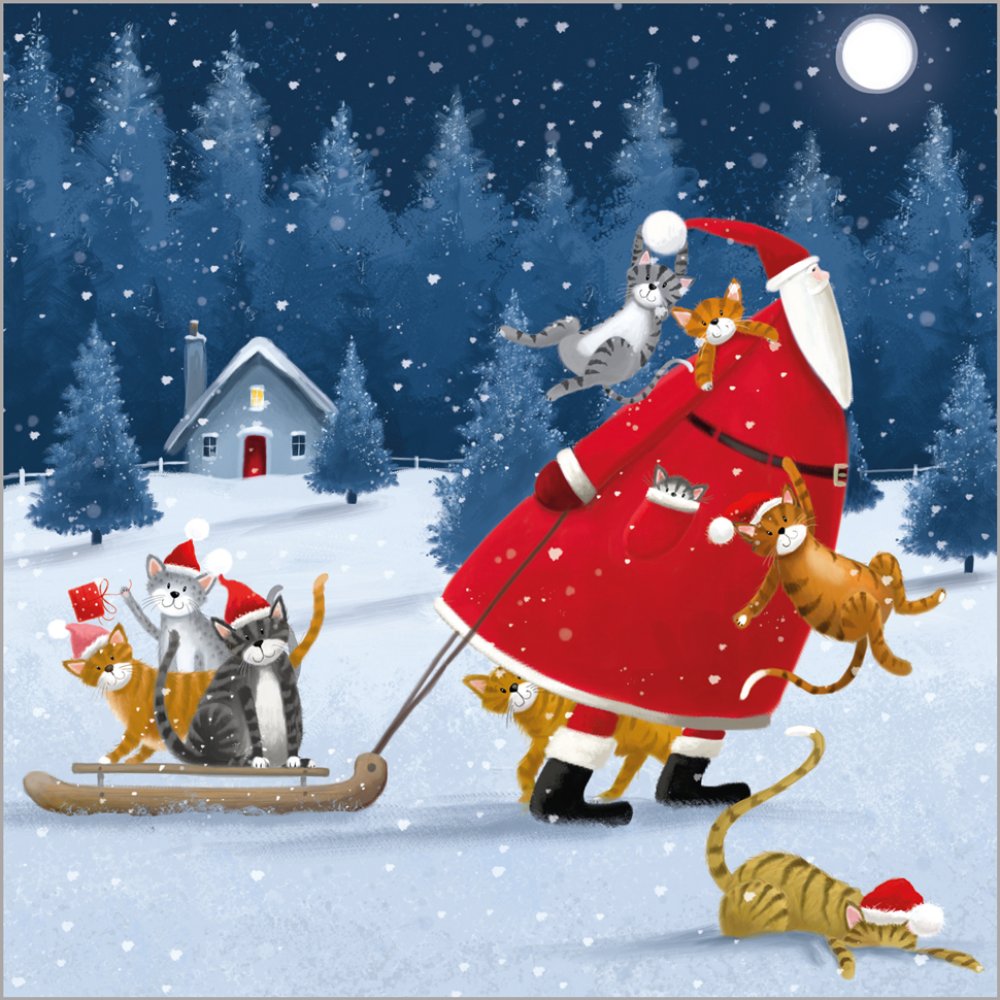 Festive Father Christmas - Pack of 24 - Christmas Cards
