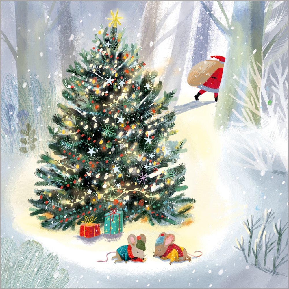 Festive Robins Christmas -  box of 24 - Christmas Cards
