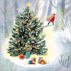 Festive Robins Christmas -  box of 24 - Christmas Cards