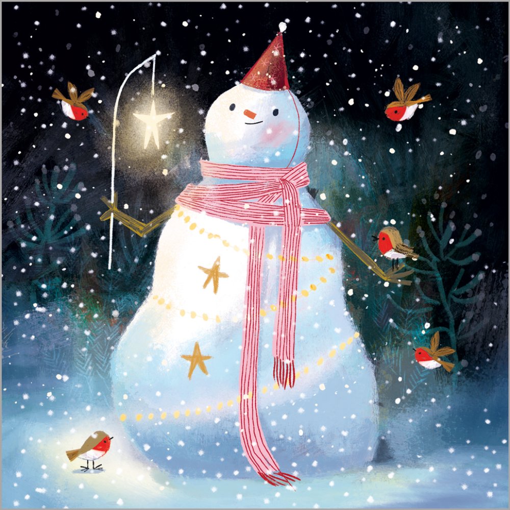 Festive Robins Christmas -  box of 24 - Christmas Cards