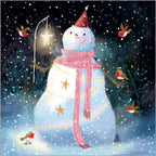 Festive Robins Christmas -  box of 24 - Christmas Cards