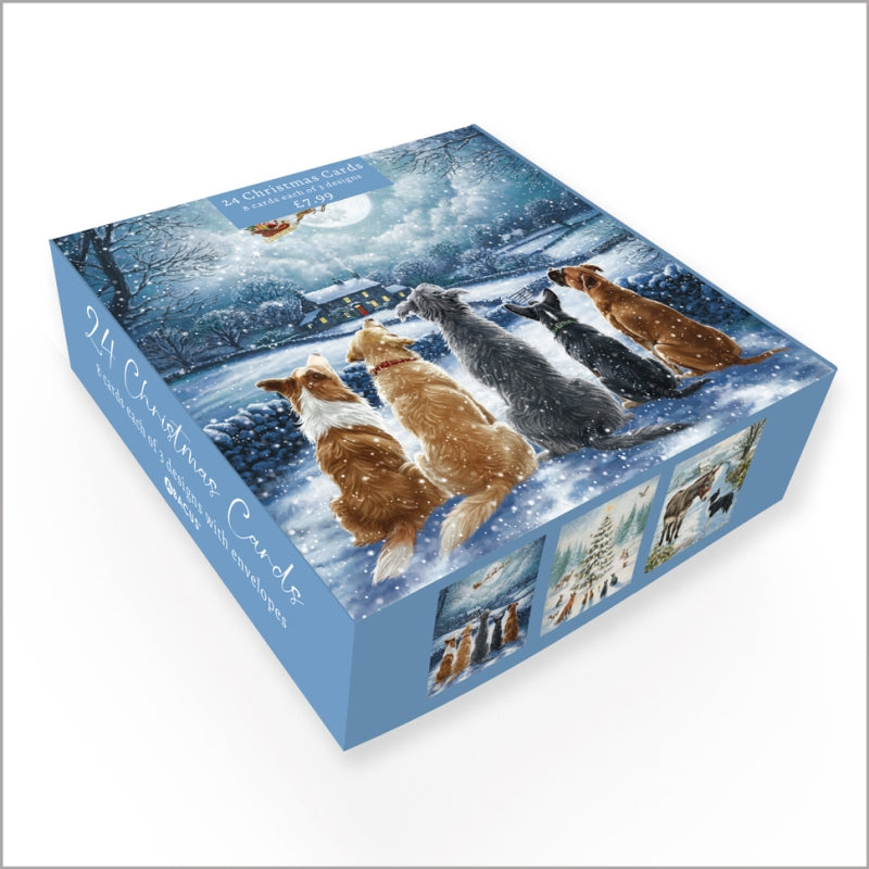 Festive Animals - Pack of 24 - Christmas Cards