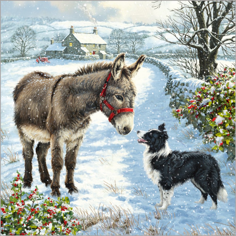 Festive Animals - Pack of 24 - Christmas Cards