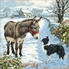 Festive Animals - Pack of 24 - Christmas Cards