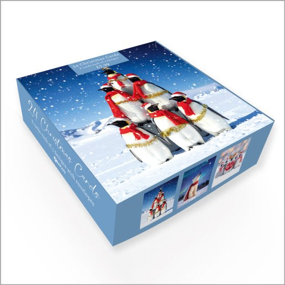 Polar Animals - Pack of 24 - Christmas Cards