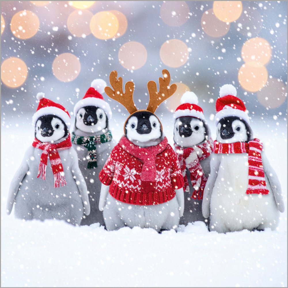 Polar Animals - Pack of 24 - Christmas Cards