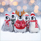 Polar Animals - Pack of 24 - Christmas Cards