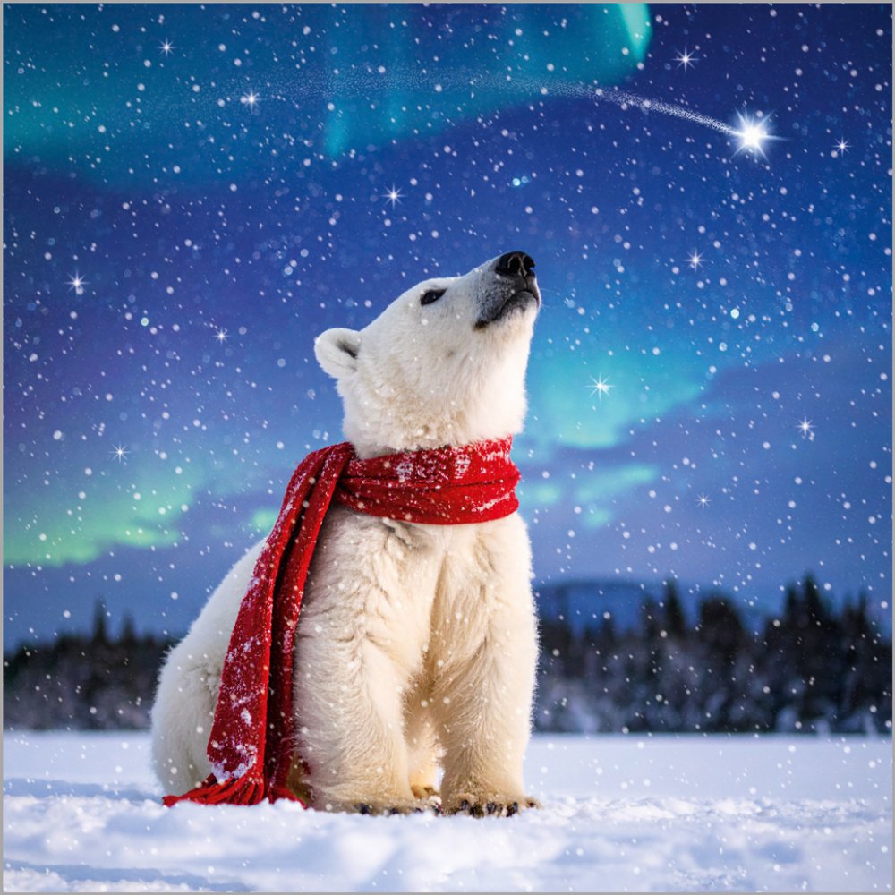 Polar Animals - Pack of 24 - Christmas Cards