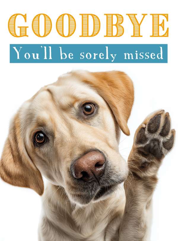 Sad labrador - Leaving card