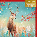 Stag and Robin - 6 pack of Charity Christmas cards