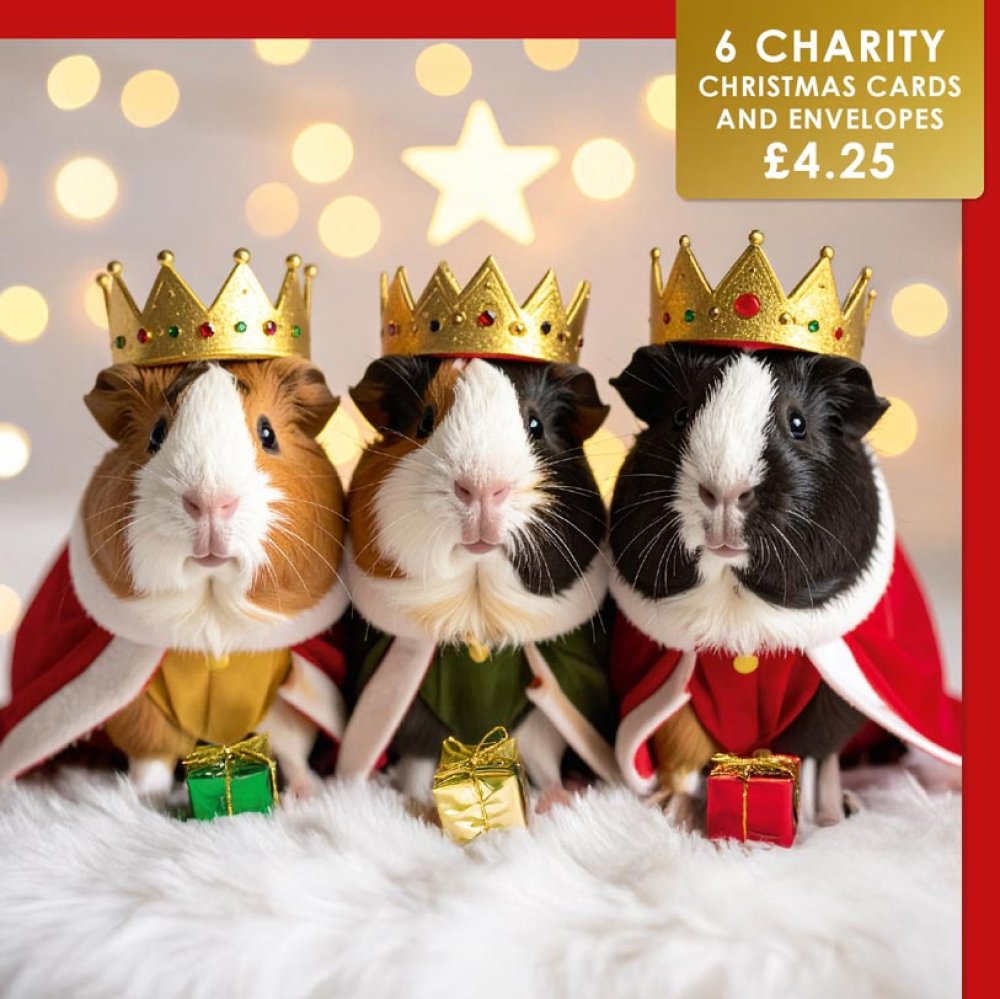 We Three Kings - 6 pack Charity Christmas cards