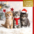 Three Festive Kittens - 6 pack of Charity Christmas cards