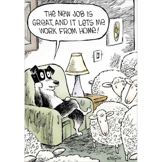 Working from Home -funny New Job Card