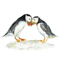 Sarah Epsom Puffins - Blank Card