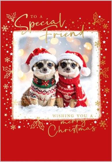 Special friend, meercats - Christmas card