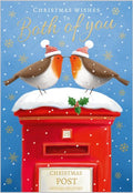 Both you, robins on postbox- Christmas card