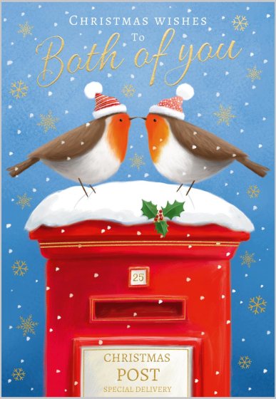 Both you, robins on postbox- Christmas card