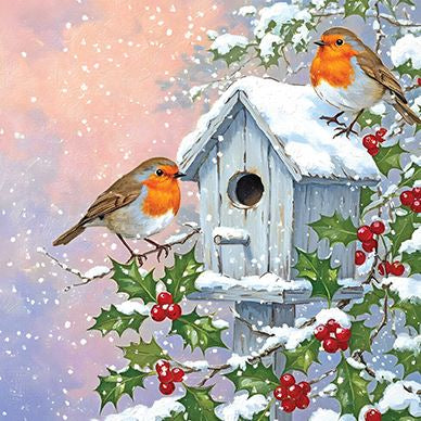 The Robin  - Medici Christmas pk of 10 cards