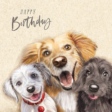 Three dogs - Birthday Card