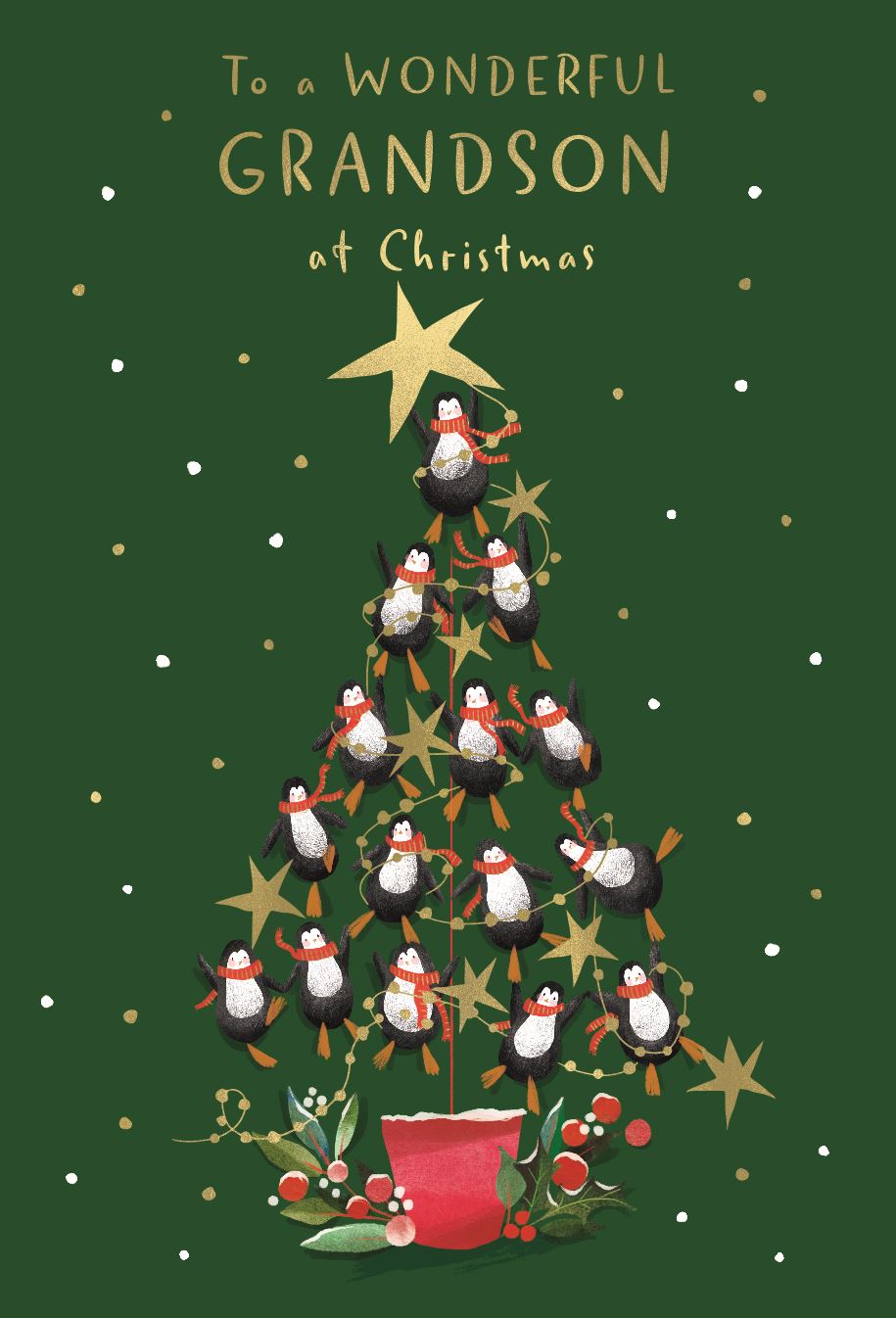 Grandson (penguins) - Christmas Card