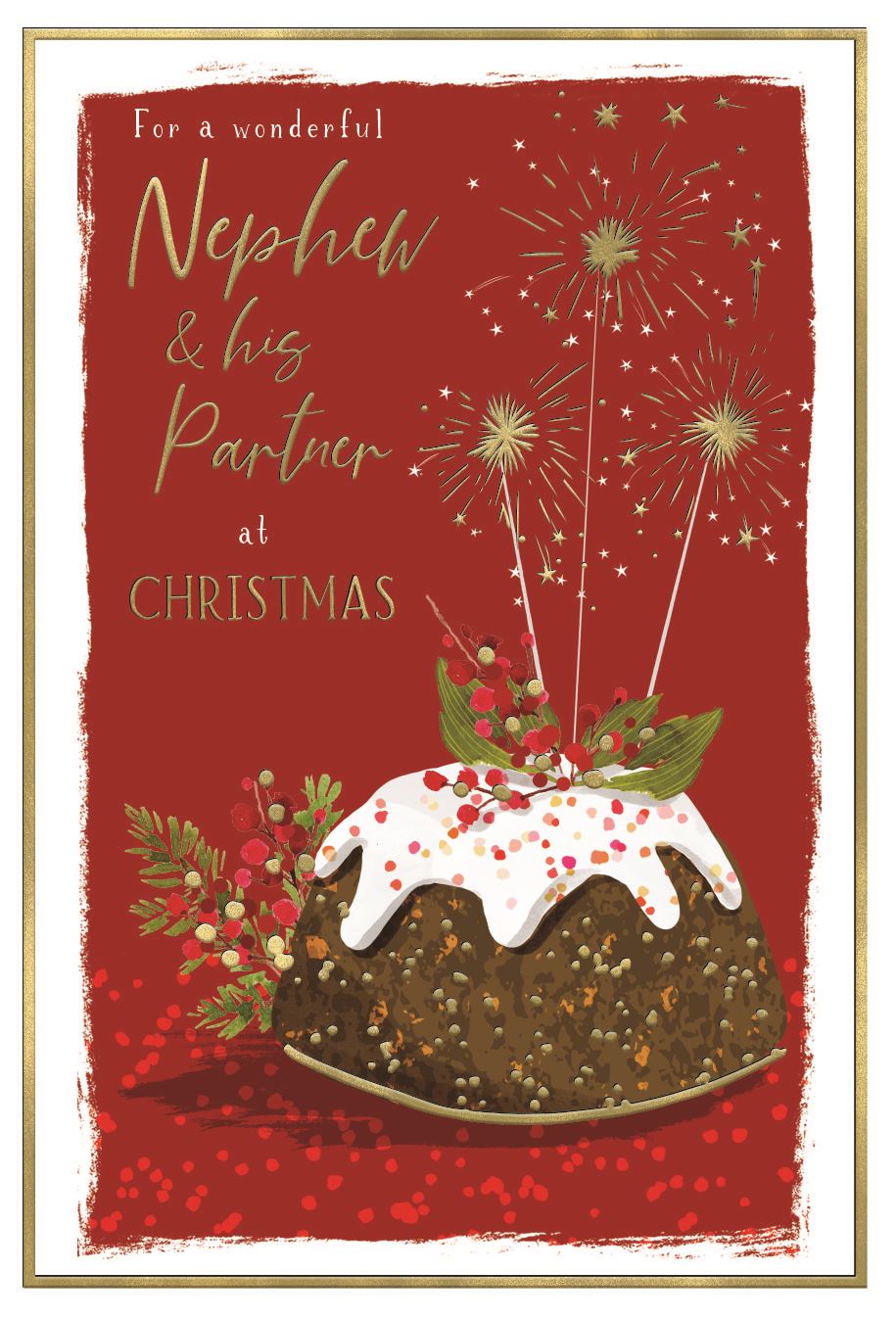 Nephew & his partner  - Christmas card