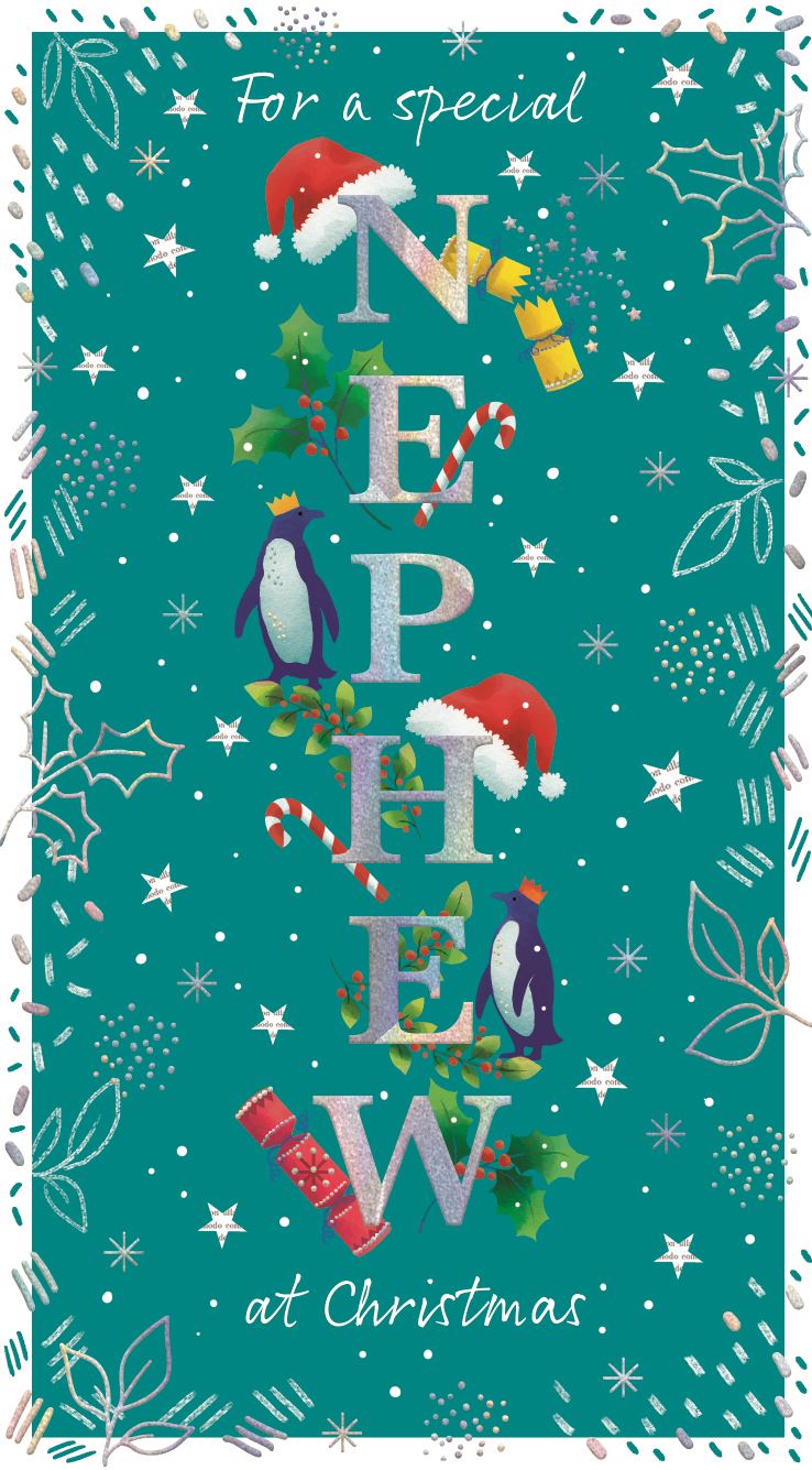 Nephew- Christmas card