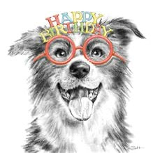 Collie with glasses, sketch - birthday card