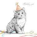 Sweet Cat, sketch - birthday card