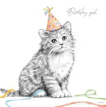 Sweet Cat, sketch - birthday card
