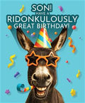 Ridonkulously Birthday, SON   -Birthday Card
