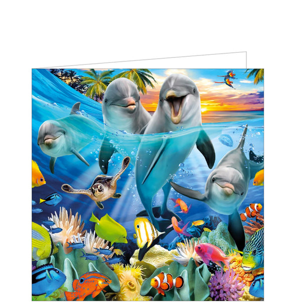 This cute little card is just right for a child's birthday and features rather friendly looking dolphins swimming in the deep, surrounded by fish friends.