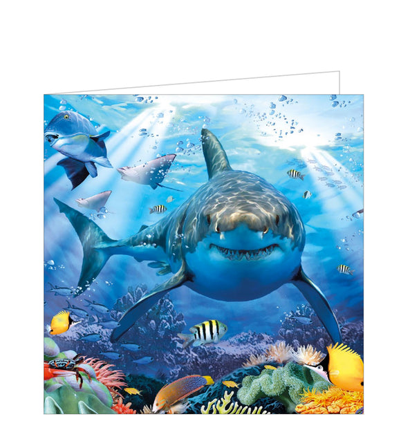This cute little card is just right for a child's birthday and features a rather friendly looking shark swimming in the deep.