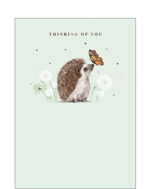 Hedgehog & butterfly - thinking of you card