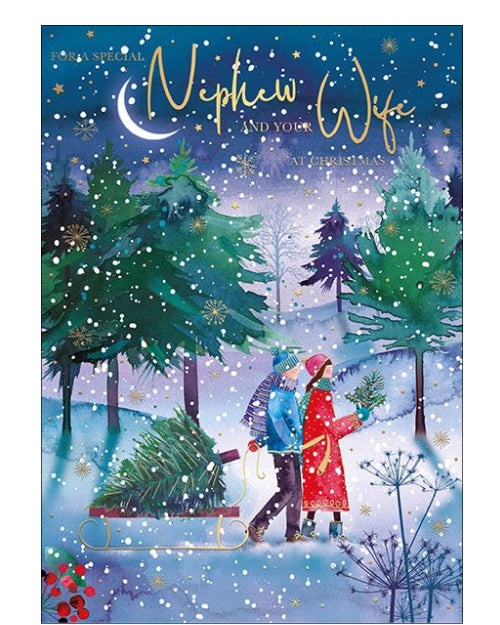 Nephew & Wife Christmas card