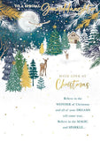 Granddaughter Christmas card