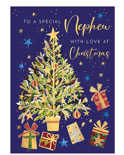 Nephew Christmas card