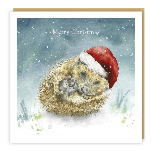 This lovely Christmas card features artwork by Sarah Reilly showing a cute hedgehog that should be asleep in his winter bed, but here he is asleep on the snow and wearing a santa hat. White text on the front of this Christmas card reads 