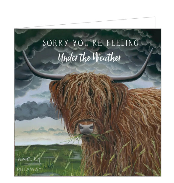 From an original pastel drawing by Lucy Pittaway showing 'the Colonel', a shaggy highland coo with standing in a field as the grey cloudy sky behind him unleashes the rain. Text on the front of the card reads 