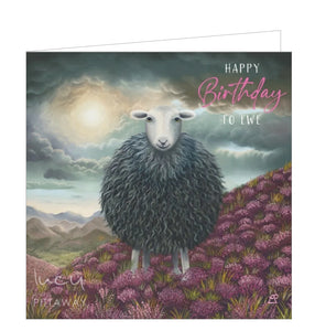 This birthday card features detail from an original pastel drawing by Lucy Pittaway showing an iconic Lake District herdwick sheep standing in a dark and moody landscape with the sun peeking through the clouds behind herdy. The caption on the front of the card reads "Happy Birthday to Ewe".