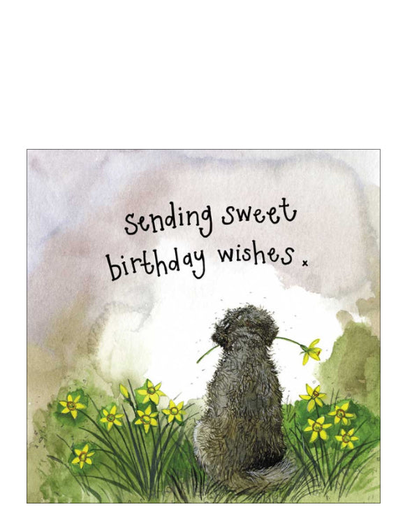this card shows a dog sitting facing away amongst the daffodils, and holding a daffodil in its mouth. An ideal birthday card from the dog. Text in gold reads "Sending sweet birthday wishes"