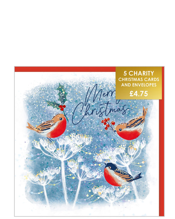 Robins - Pack of 5 charity Christmas cards