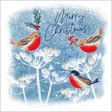 Robins - Pack of 5 charity Christmas cards