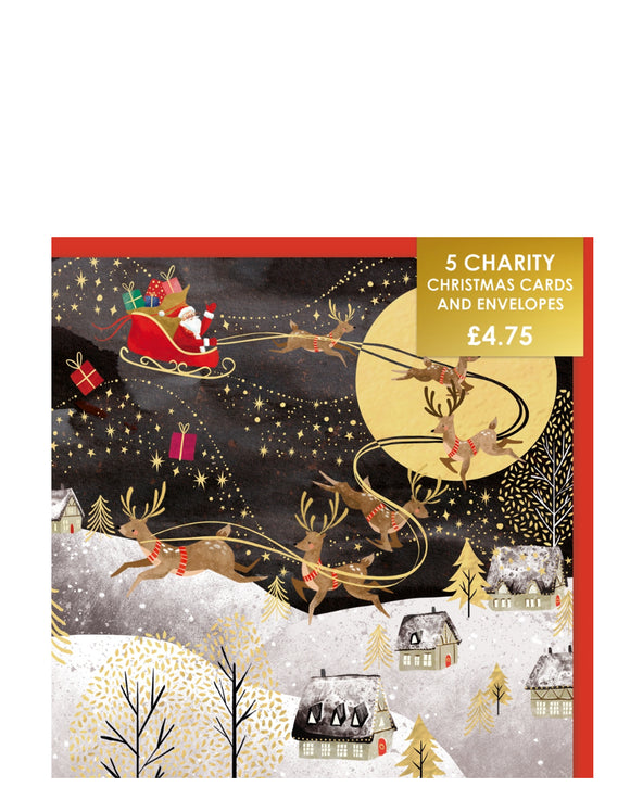 Festive sleigh ride - Pack of 5 charity Christmas cards