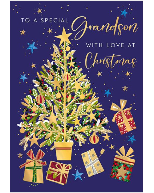 Special Grandson Christmas card