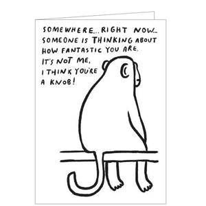 This funny birthday card from Pigment Production's Cuckoo range is decorated with a sketch of a monkey sitting on a branch. The caption on the front of the card reads "Somewhere.. Right now.. Someone is thinking about how fantastic you are. It's not me, I think you're a knob!"