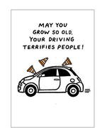 Your driving terrifies people - birthday card